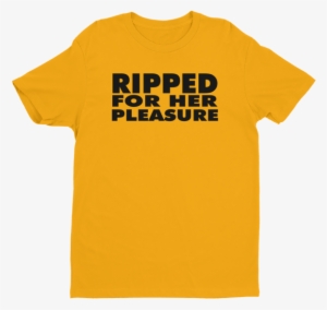 Ripped Pleasure Next Level Short Sleeve Men's T-shirt - Falun Dafa T Shirt #1655785