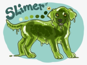 Recent Images - Dog Catches Something #1656676