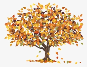 1 - Autumn Term #1658104