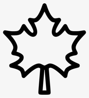 Maple Leaf Leaves Autumn Dry Tree Comments - Leaf #1658155