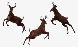 Deer Free Download Png - Eat More Fast Food #1658233