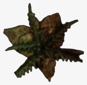 Morrowind Bittergreen Petals - Wiki #1658482