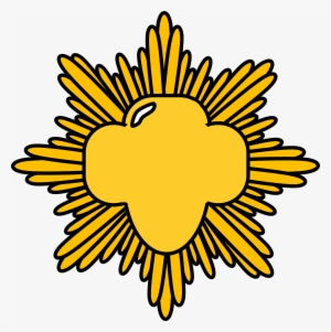 This Free Icons Png Design Of Gold Award Pin #1658510