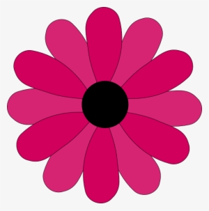 Pink Two Tone Petals Hi - Entrecomp Png #1658778