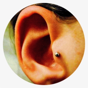 Piercing Aftercare - Wildside Exotic Piercing #1659015