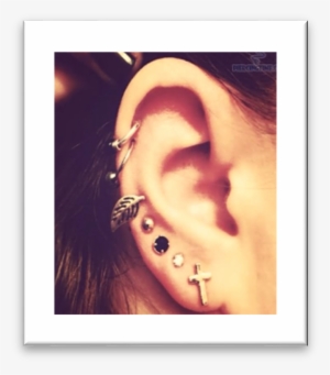 Examples Of Unacceptable Piercings - Helix And Lobe Piercing #1659174