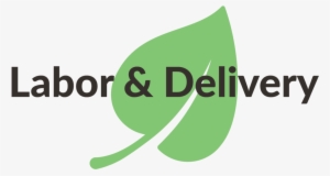 Mothers Who Receive Consistent Chiropractic Care Throughout - Childbirth #1659985