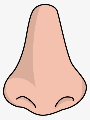 Clipart Png Nose - Nose Png #1660087
