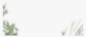 Illustration Of Blurred Background Plants - Blurred Plants Png #1661477