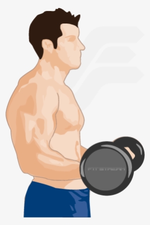 Develop - Biceps Weight #1661852