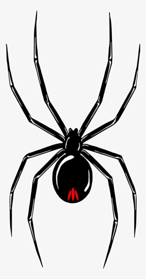 Black Widow Tour - Araignée Tattoo #1662059