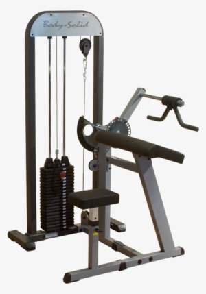 Gcbt Stk, Gcbt Stk - Biceps And Triceps Machine #1662063