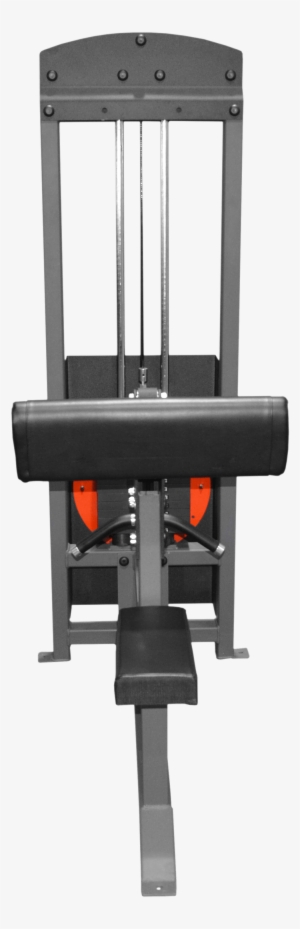 Bicep-curl - Machine #1662194