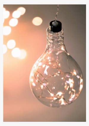 Hanging Glass Light Bulb #1662317