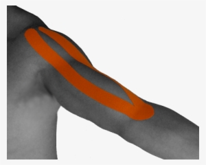 2011년 10월 20일 목요일 - Taping Biceps #1662320