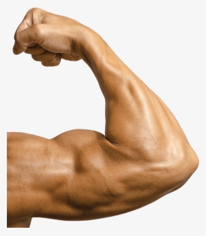 Slider 1819 Vanya Bicep - Bicep Flex Closeup #1662417