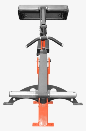 Bicep Curl Plate Loaded - Gym #1662440