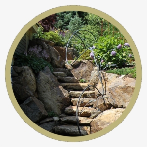 Generic Cialis Pharmacy Review - Boulder #1662568