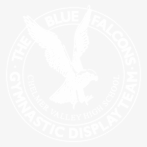 Blue Falcons Gymnastic Display Team #1663588