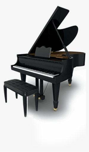 A Really Nice Piano That Is All Ready To Play Some - Piano #1664796