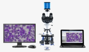 Biovid Hd 1080 Microscope Camera - Lw Scientific Bvc-1080-cmt3 Microscope Camera,2mp,color,c-mount #1665667