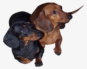 Portable Network Graphics #1665878