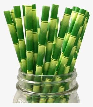 Bamboo Paper Straw - Paper Party Straws Bamboo #1667348
