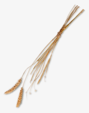 Wire #1667515