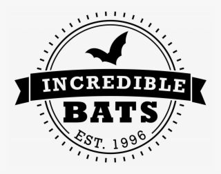 Communications Memo Search And Filter - Wood #1668272