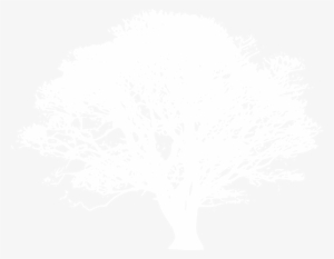 Clip Art White Tree #1668315