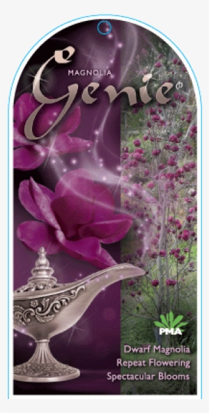 Find A Supplier - Magnolia Genie #1668567