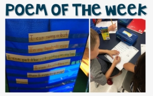 Since, We Were At The Start Of School When We Did Pete - Cheeky Monkey Shower Curtain #1669343