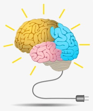 Dubai Media City - Memory Manipulation: How To Train Your Brain Anything #1669347