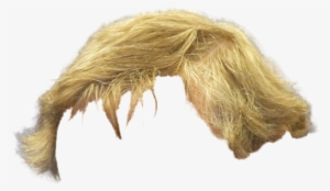 Blonde Hair Png Man #1670742 Blonde Hair Png Man #1670742