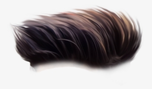 But I Prefer You To Download The Zip File Below These - Hair Png Hd #1670992