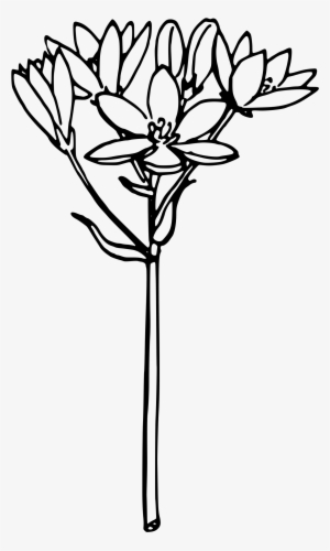 This Free Icons Png Design Of Star Of Bethlehem 2 #1671764