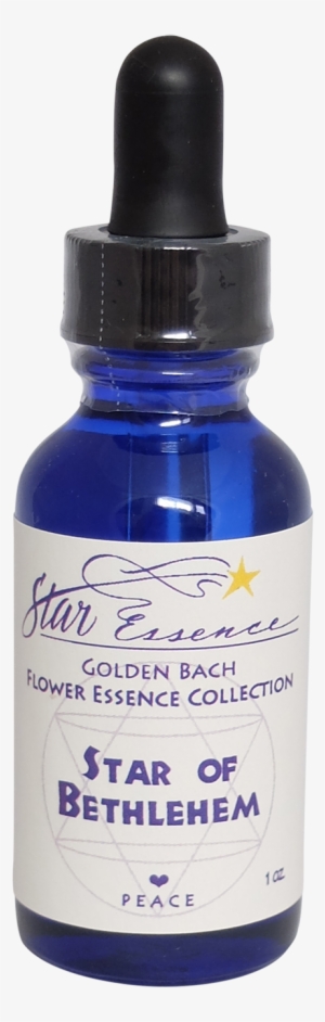 Hedd Wyn Tamanu Oil #1671817