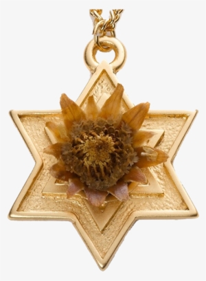 Rose Of Bethlehem Gold-filled Star - Rose Of Bethlehem - Gold Star Of David #1672565
