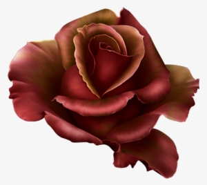 Garden Flames - Png Dark Red Rose #1673025