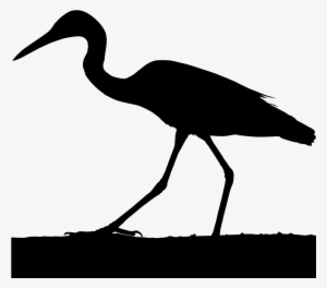 Crane Clipart Blue Crane - Grey Crane Bird Silhouette #1673534