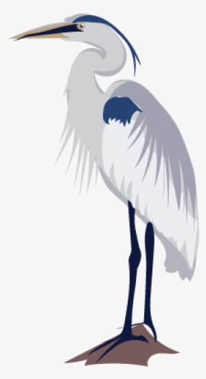 It's Heron Week On Inaturalist Jan - Inaturalist #1673690