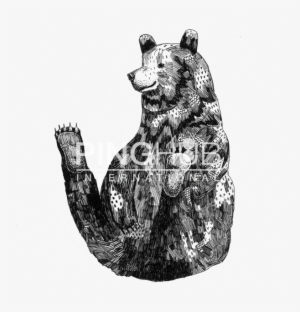 Grizzly Bear #1674062 Grizzly Bear #1674062