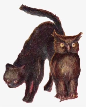 Cat And Owl Clear - Cat #1674119