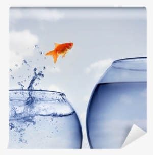 Goldfish Jumping Out Of The Water Wall Mural • Pixers® #1674174