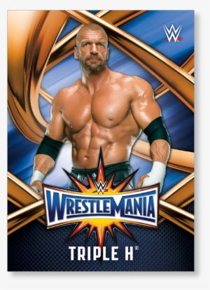 Triple H 2017 Wwe Road To Wrestlemania Wrestlemania - Triple H 2017 Wwe #1674445