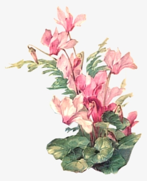 Flower 2 Tuckdb Org - Vintage Flower Painting Png #1674689