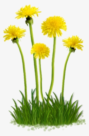 Flower Clips, Flower Art, Summer Flowers, Garden Bugs, - รูป ดอกไม้ .png #1674692