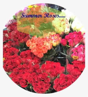 It's June, Summer Is Here, And It's Getting Hot I Love #1674775