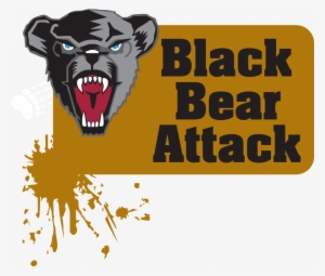 The Black Bear Attack Adventure Race Is Back - University Of Maine #1674888
