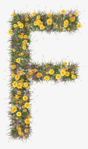 Summer Flower Font - Caterpillar #1674957